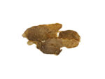 Cecina